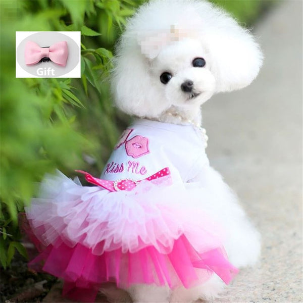 Dog Clothes for Small Dogs Dress Sweety Princess Dress Spring Summer Puppy Small Dog Lace Princess Chihuahua Dog Mascotas Roupa